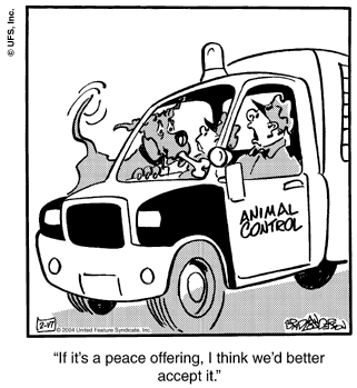marmaduke